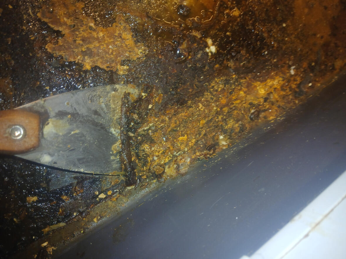 Specialist Hygiene treatment in commercial building with previous rodent activity