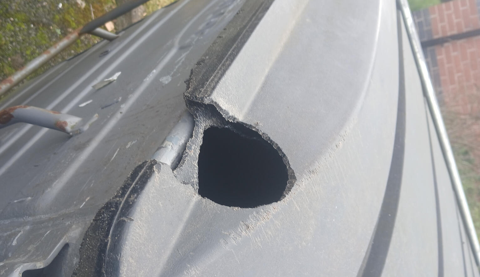 Squirrel Damage To Clients Bins In East Kilbride South Lanarkshire