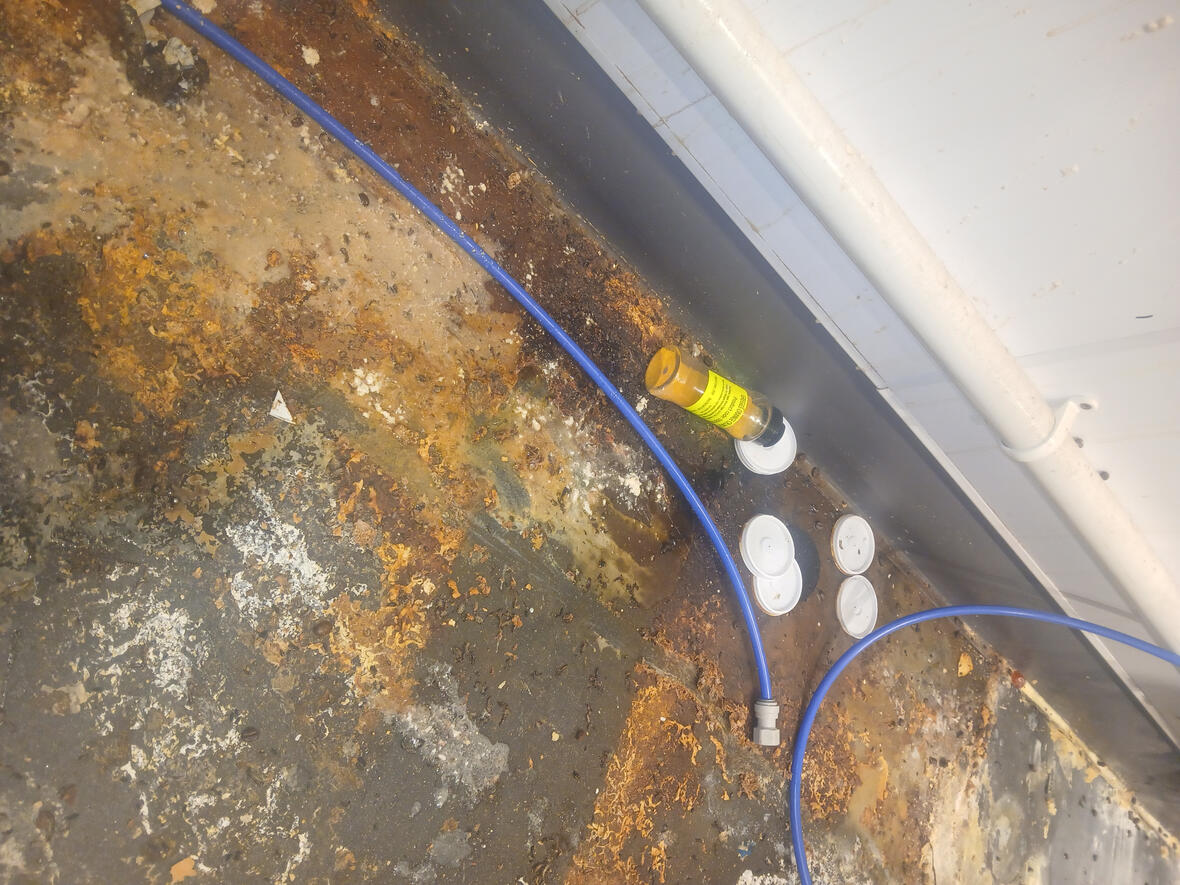 Specialist Hygiene treatment in commercial building with previous rodent activity