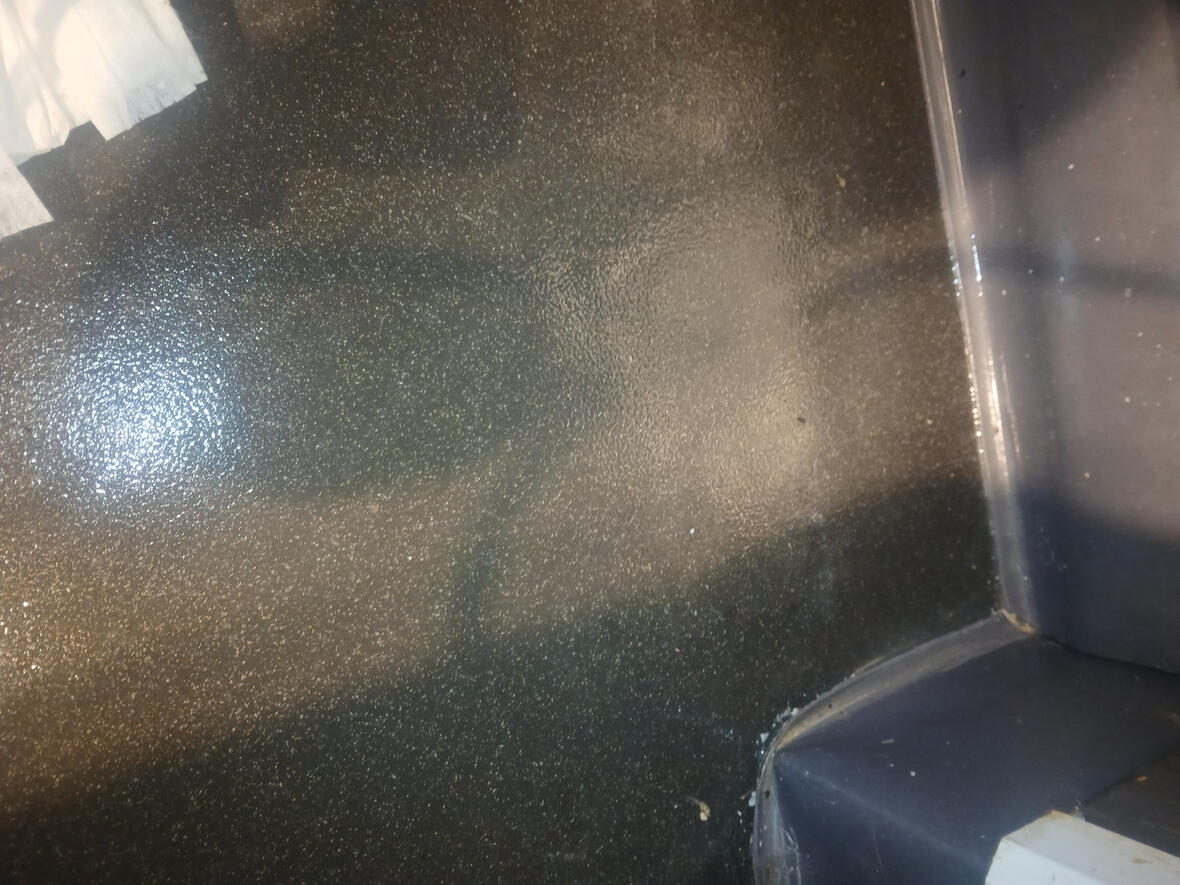 Specialist Hygiene treatment in commercial building with previous rodent activity