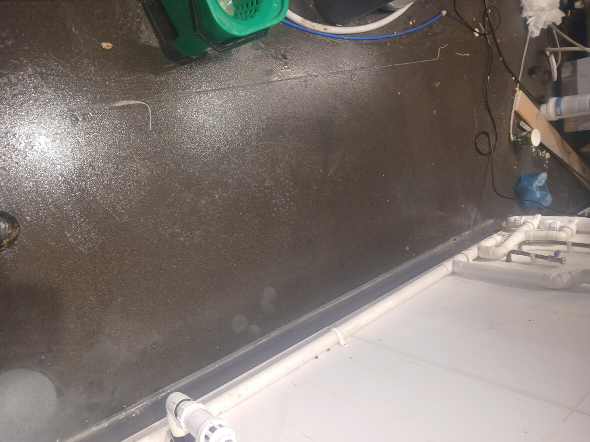 Specialist Hygiene treatment in commercial building with previous rodent activity