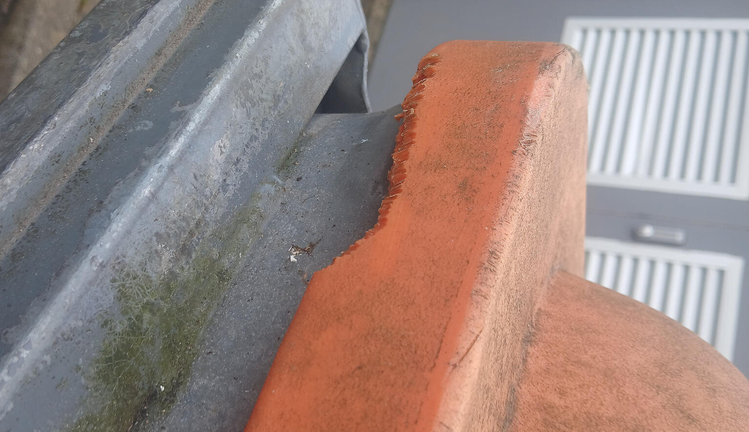 Squirrel Damage To Clients Bins In East Kilbride South Lanarkshire
