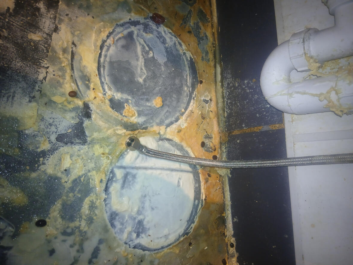 Specialist Hygiene treatment in commercial building with previous rodent activity