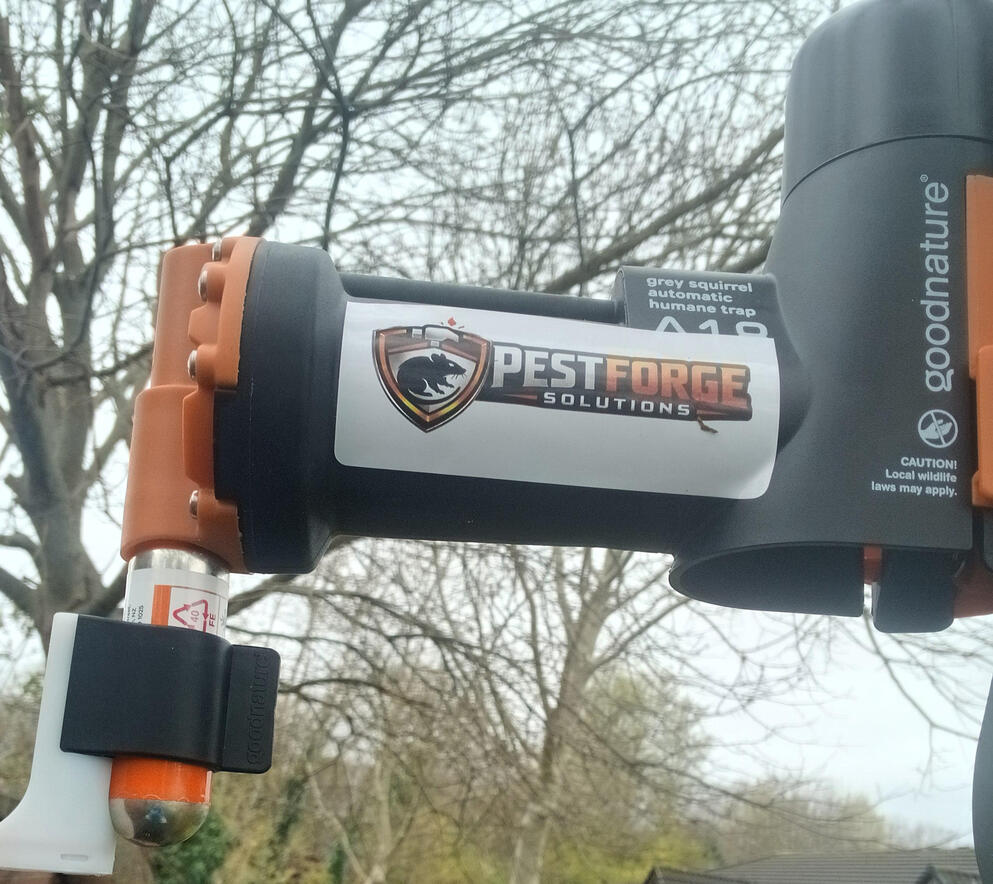 Good Nature A18 Humane Squirrel Traps Installed In East Kilbride South Lanarkshire